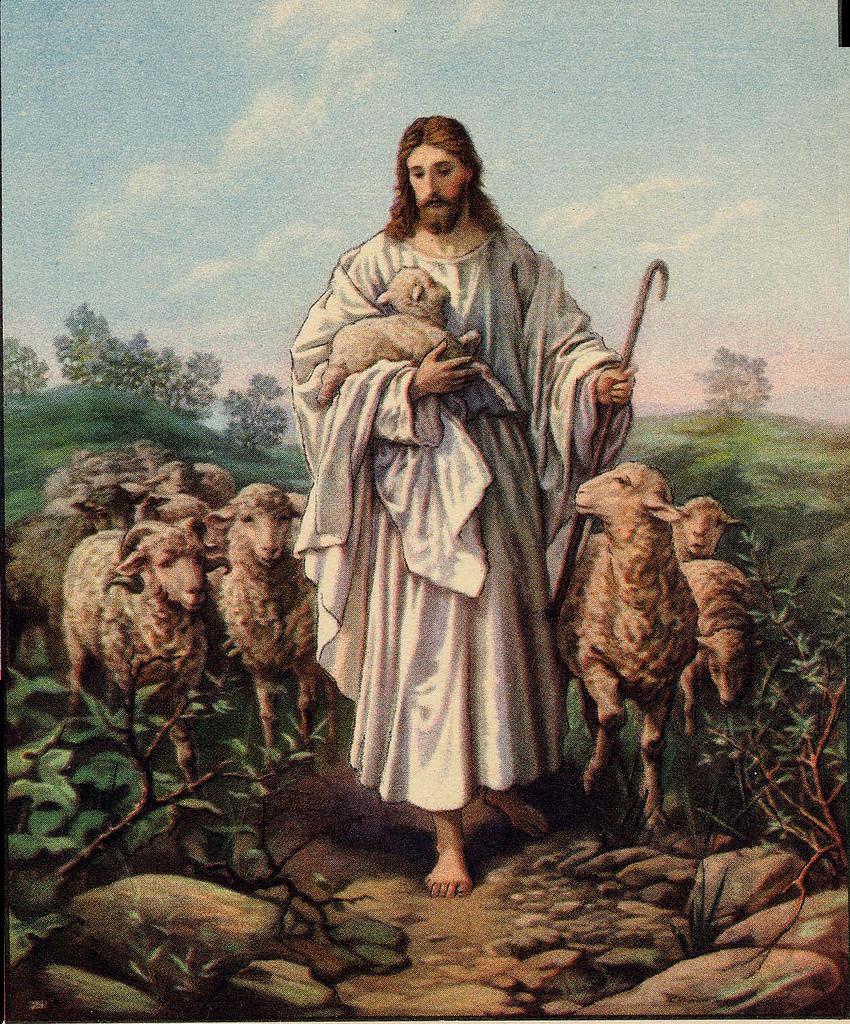 Jesus Good Shepherd 18