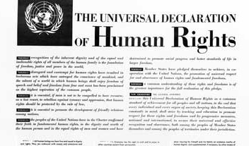 universal declaration human rights crop